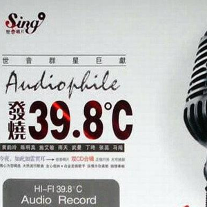 你是我心内的一首歌