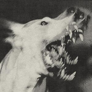 My childhood was a period of waiting for the moment when I could send everyone and everything connected with it to hell