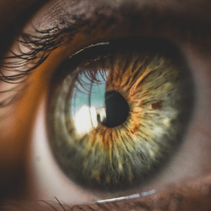 Beautiful Atmosphere