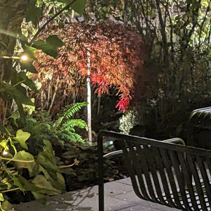 Vitun Pimeää (vägled mig & guide her)