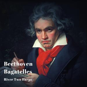 Bagatelle No. 1 in G Major, Opus 126: Andante con moto cantabile e con piacevole
