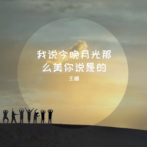我说今晚月光那么美你说是的