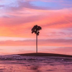 治静音乐Static-2021—2022（治静音乐Static remix）