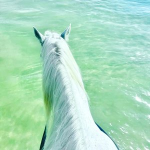 Every Body Go（3D 环绕版）（Salao remix）