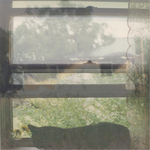 After the Big Meal We Sit Around and Remember