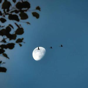 想要一个答案（钢琴版）