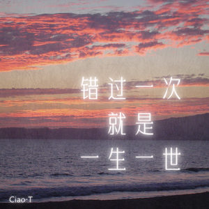 错过一次就是一生一世（沧桑版）