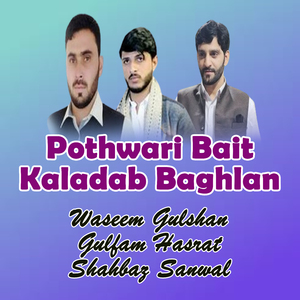 Pothwari Majaz Sher Kaladab Baghlan Program, Pt. 8