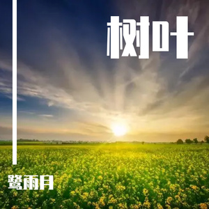 梦见的美好12(纯音乐)