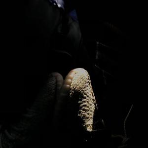 2020.10.04(prod.Furyl）