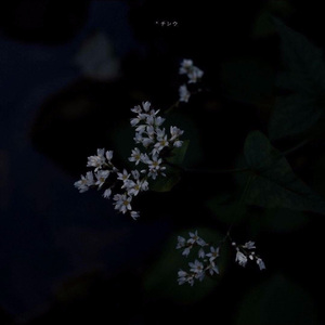 不要否定任何人（GumJ）