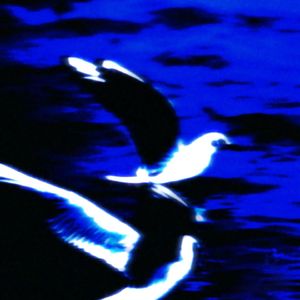 Peak undefeated（SLOWED）