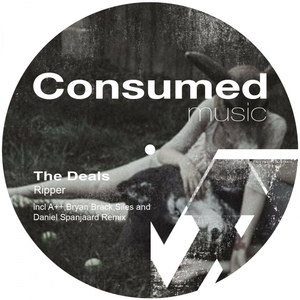 Ripper (Original Mix)