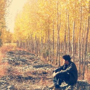 Untalmayman 忘不了你