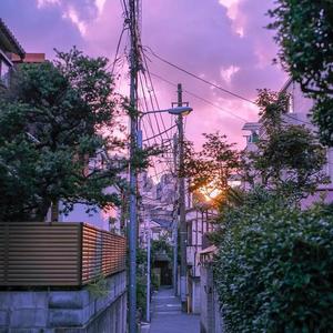 菊次郎的夏天