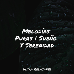 Peluche