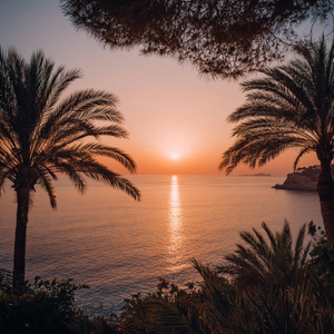 Dreams by The Ocean