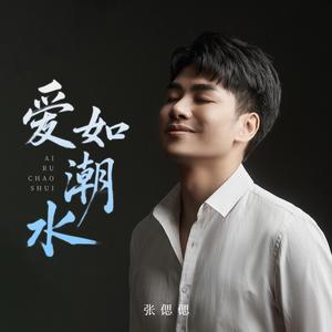 爱如潮水 (伴奏)