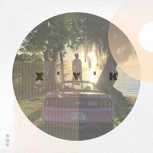 十九岁时没能请你喝酒