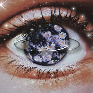 你眼睛里有星星