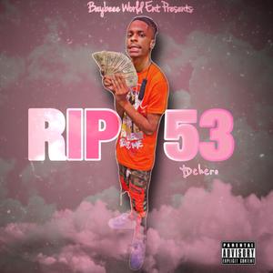 Rip 53