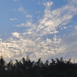 每个选择 伴奏