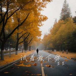 试着放下你 (Cover 刘不君)