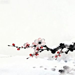 长安雪·梅落无期