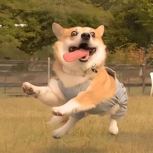 爱我要七颗心