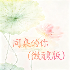 同桌的你(微醺版)