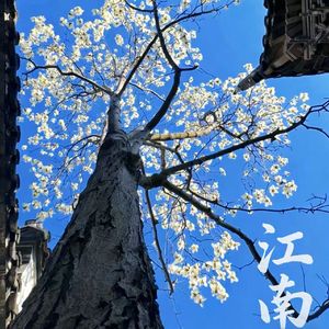 江南（prod.@rocky)