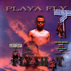 Fly ****