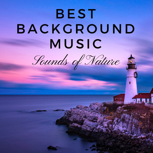 Awereness (Contemplation)