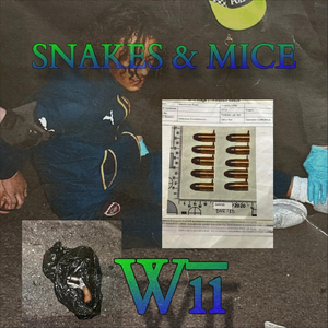 Snakes and Mice