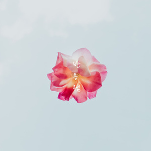 경화수월 (鏡花水月)