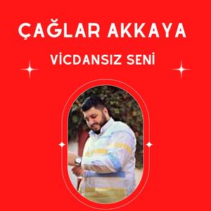 Vicdansız Seni