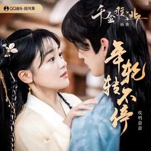 年轮转不停 (DJ版)