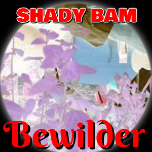 Bewilder