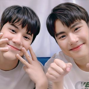 《凤凰与迷雾》