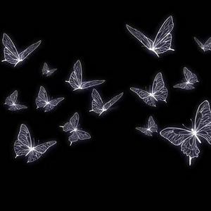 关于孤独我想说的话_LLJJYYii