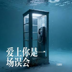 爱上你是一场误会