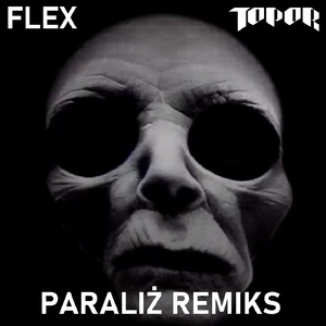Paraliż (Flex Remix)