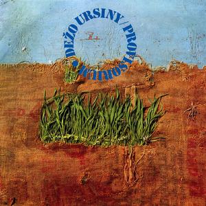 Apple Tree In Winter