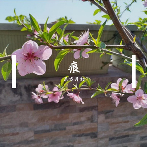 痕