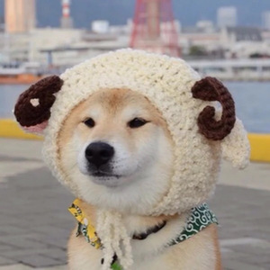 东风志（翻自 Aki阿杰）