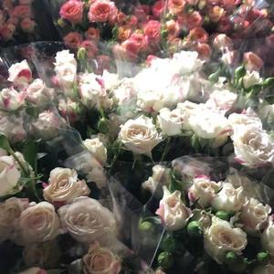 贝加尔湖畔（温柔女声版）