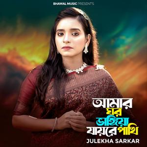 আমার ঘর ভাঙ্গিয়া যায়রে পাখি (TikTok Version 4)