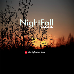 Nightfall(Original Mix)