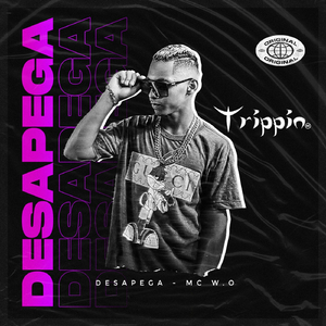 Desapega
