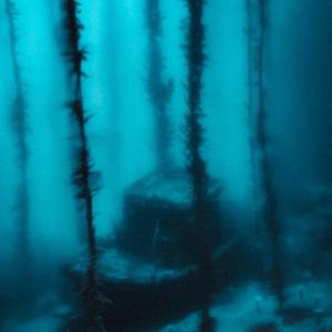 Disenchanted (feat. ICWYTE)